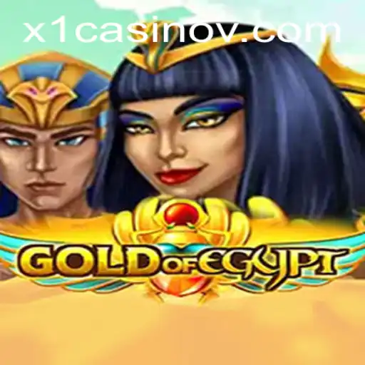 Discover the Excitement of 
